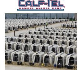 Calf-Tel домики для телят